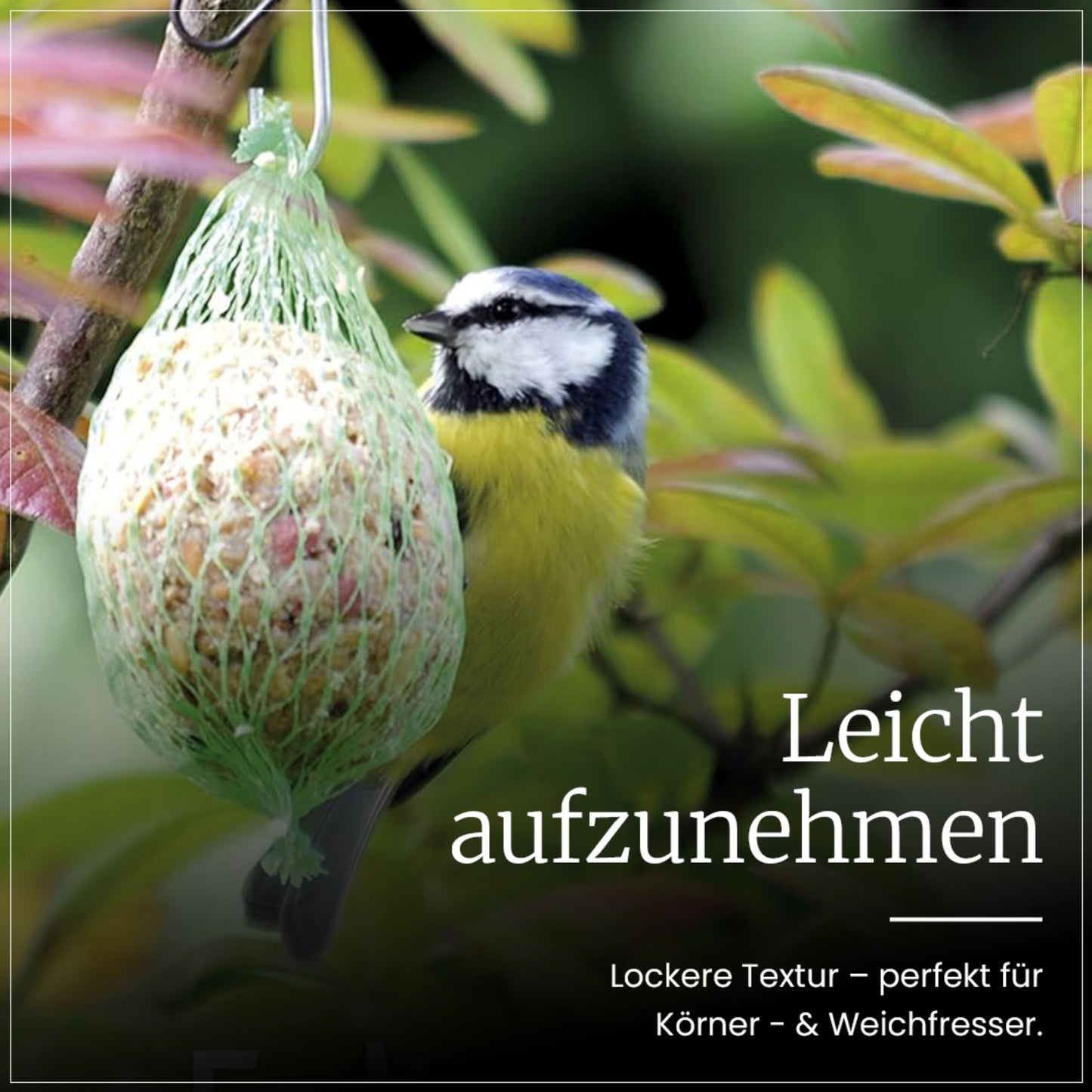 Sommermeisenknödel mit Netz
