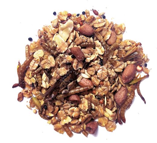 Protein-Mix PLUS 800 g