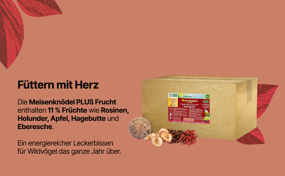 Meisenknödel PLUS Frucht - 60 Stück ohne Netz im Karton - 5,1 kg