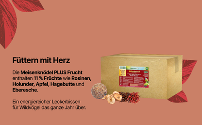 Meisenknödel PLUS Frucht - 60 Stück ohne Netz im Karton - 5,1 kg