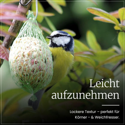 Sommermeisenknödel mit Netz