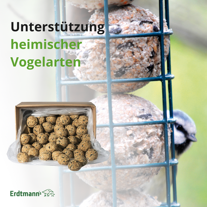 35 Meisenknödel ohne Netz im Karton I 3 kg