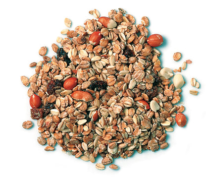 Fettfutter - Der kraftvolle Wintersnack