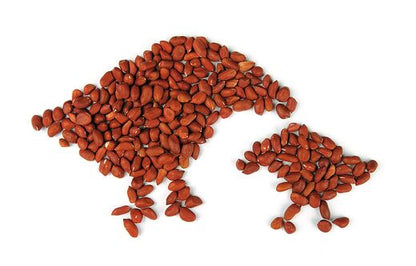 Nussboy: 500 g Erdnusskerne im Futterspender