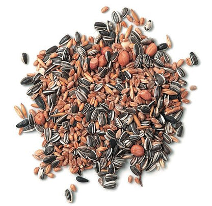 Streufutter - Ein Leckerbissen für besonders viele Wildvogelarten