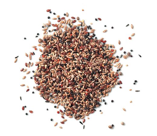 Waldvogelfutter 1 kg